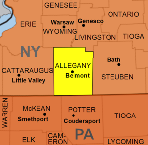 NY Allegany map.png