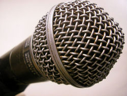 Microphone for the Recording Room