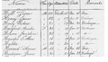 Louisiana, Freedmen's Bureau Records (13-0474) Hospital Register of Patients DGS 4139955 73.jpg