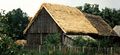 Poland Thatched roof.jpg