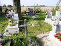 Cemetery in Niederschlesien-1.jpg