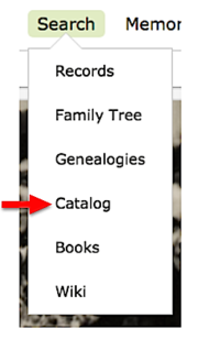 Search catalog.png