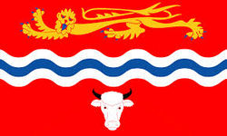 Flag of Herefordshire.jpg