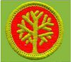 Boy Scout Merit Badge in Genealogy