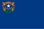 Nevada flag.png