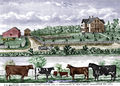 Barclay barn 1875.jpg