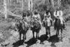 Ute indians on horses1878.jpg