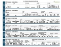 US Census Headings 1870-1930.pdf