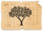 FamilySearch Indexing icon.png